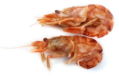 Argis lar (kuro karides, Kuzey Argid). Pasifik karidesi