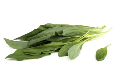 Ramson (Buckram, ayı pırasası, yabani sarımsak, ayı sarımsağı, geniş yapraklı sarımsak, ahşap sarımsak)