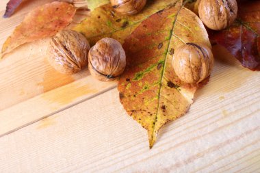 Ceviz ve sonbahar yaprakları masada.