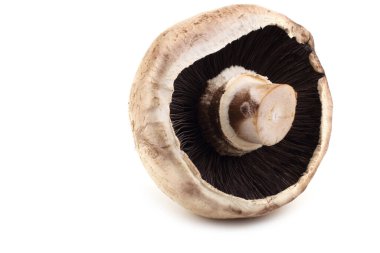 Champignon mantarı beyaz üzerinde izole (yaygın mantar, beyaz mantar, düğme mantar, ekilmiş mantar, masa mantarı)