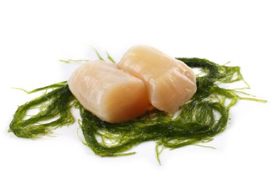 Algadaki soğanlı fileto beyazda izole edildi