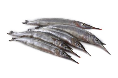 Garfish beyazda izole edilmiş.