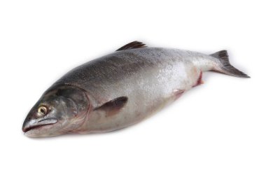 Somon beyazı izole eder.