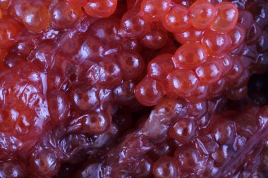 Pişmemiş kırmızı havyar arkaplanı