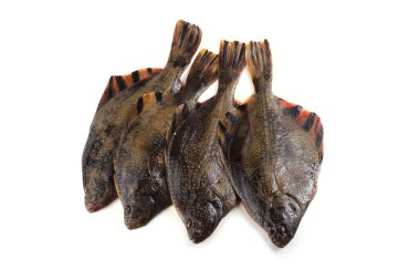 Yıldızlı dil balığı (Emery wheel, grindstone, uzun burunlu dil balığı)