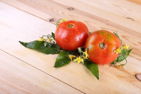 Tomates Mesa Estilo País —  Fotos de Stock