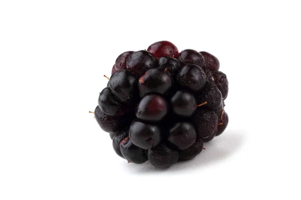 Fresh Blackberry Harvest Close — Stock Photo, Image