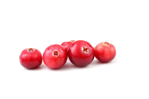 Tutup Dari Cranberry Asam Segar — Stok Foto