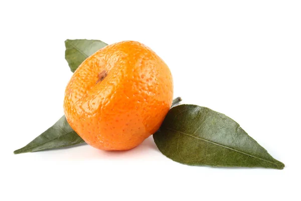 잎사귀가 표준적 오렌지색 — 스톡 사진