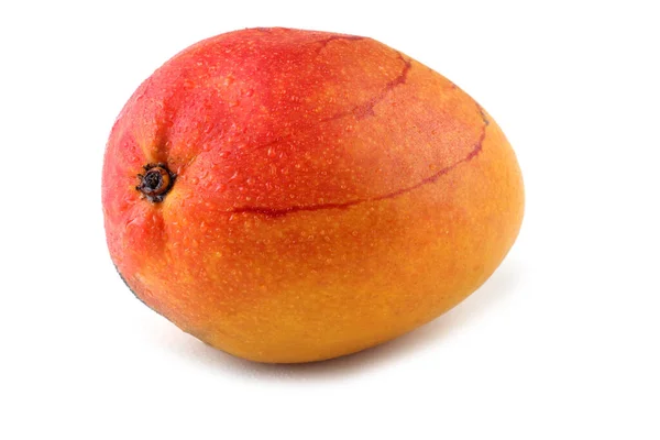 Mango Geïsoleerd Wit — Stockfoto