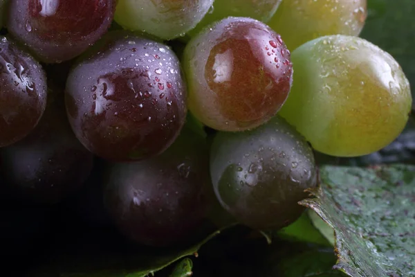 Grape Background Macro Shot — Stock Photo, Image