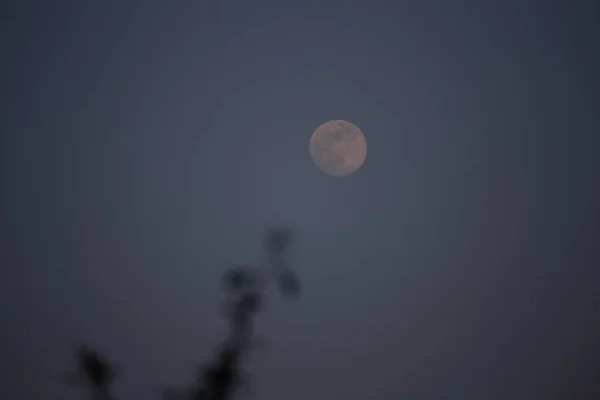 Bulan Dan Awan Langit Malam — Stok Foto