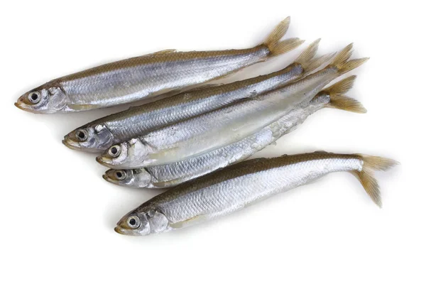 Aziatische Smelt Vis Geïsoleerd Wit — Stockfoto