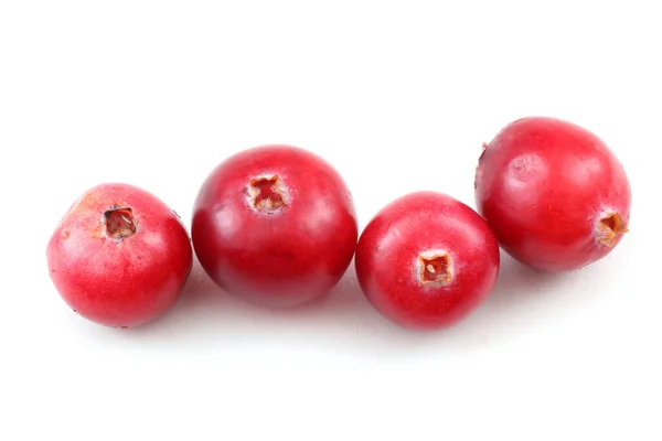 Tutup Dari Cranberry Asam Segar — Stok Foto