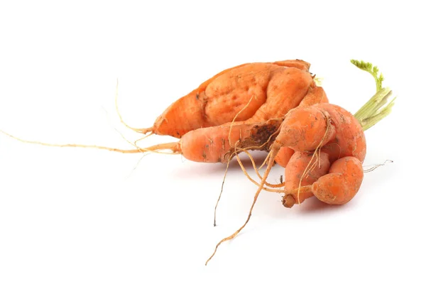 Funny Ugly Carrots Isolated White — Stock Photo, Image