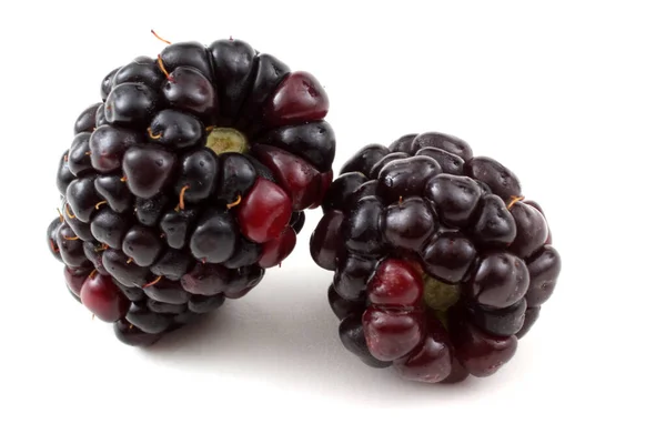 Blackberries Latar Belakang Putih — Stok Foto