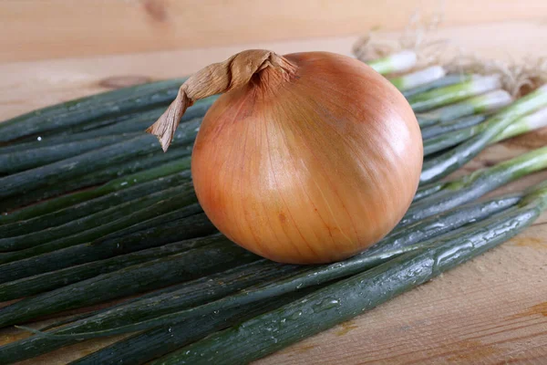 Uien Tafel Landelijke Stijl — Stockfoto