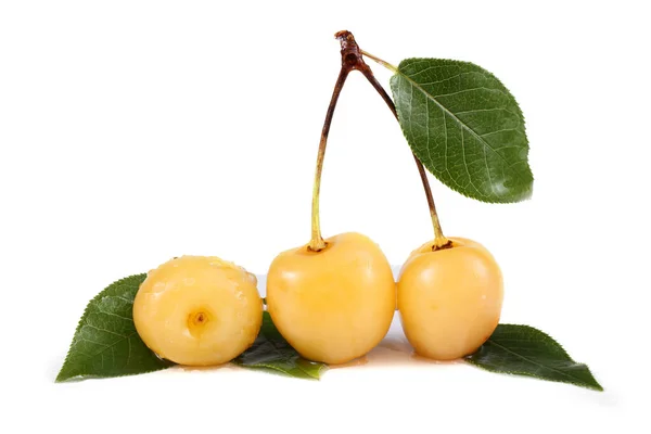 Cerejas Isoladas Sobre Fundo Branco — Fotografia de Stock