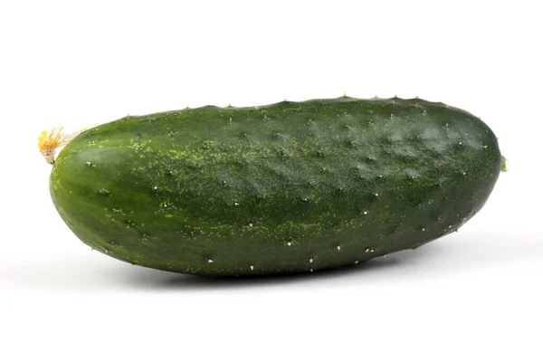 Cucumbers White Background — Stock Photo, Image