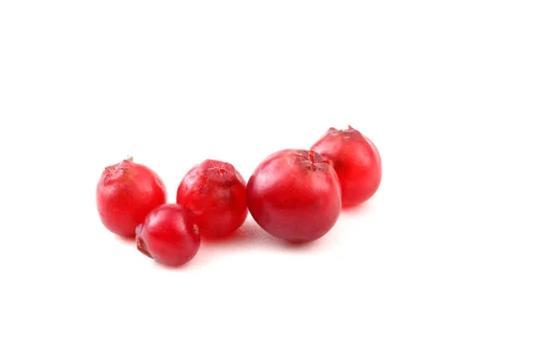 Cranberry Pada Latar Belakang Putih — Stok Foto