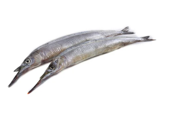 Garfish Isolado Branco — Fotografia de Stock