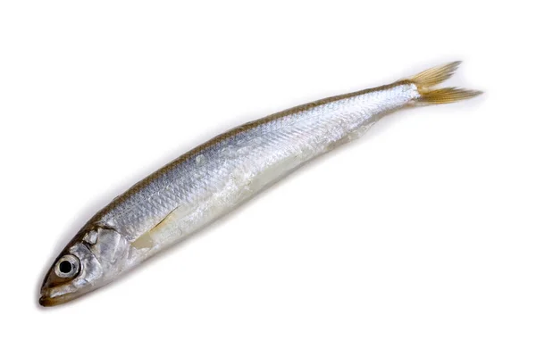 Azjatycka Ryba Wyizolowana Białym — Zdjęcie stockowe