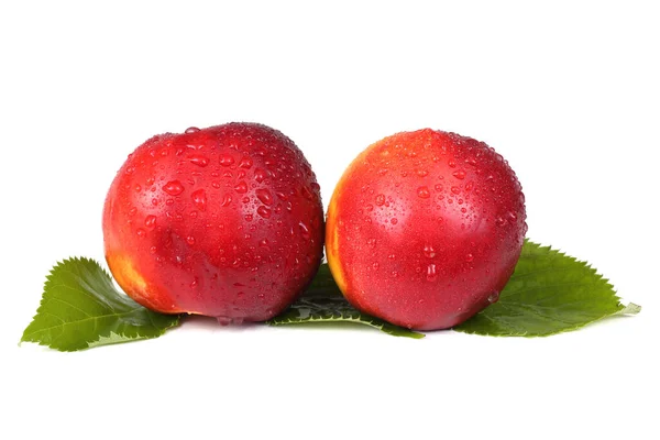 Nektarine Früchte Isoliert Auf Weißem Hintergrund — Stockfoto