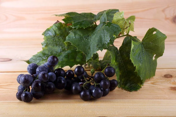 Uva Vino Negro Mesa — Foto de Stock