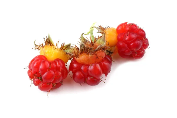 Koreaanse Frambozen Rubus Crataegifolius Verre Oosten Delicatesse — Stockfoto