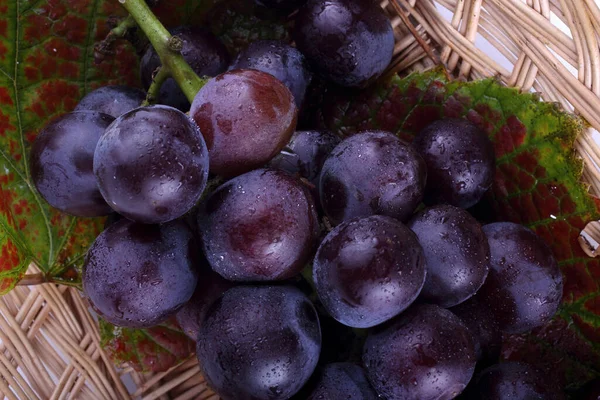 Raisins Frais Sur Les Feuilles Érable — Photo