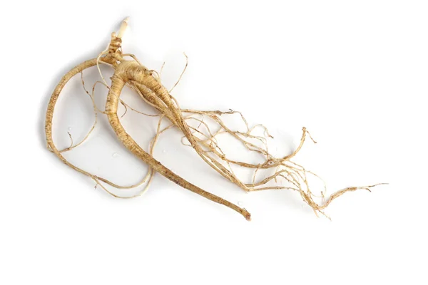 Ginseng Isolerad Vit Bakgrund — Stockfoto