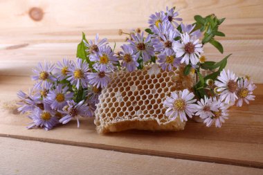 taze ve lezzetli bal peteği