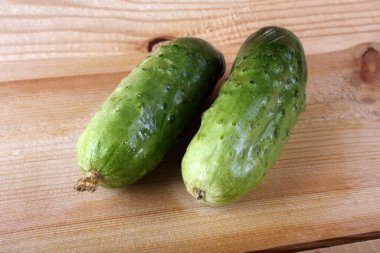 Salatalıklar masaya. Ülke biçimi