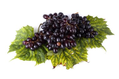 Sonbahar yapraklarındaki taze üzümler beyaza izole edilmiş.