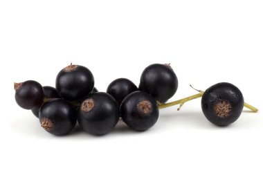 Olgun taze frenk üzümü hasadına yakın.