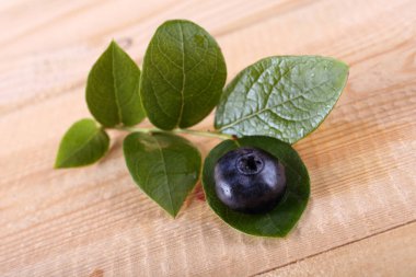 Masada yabanmersini var. Ülke biçimi