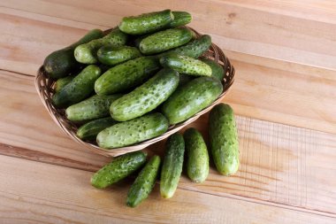 Salatalıklar masaya. Ülke biçimi