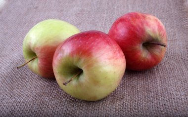 Taze olgun elmaları kapatın.