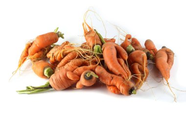 Beyaz tenli komik çirkin havuçlar.