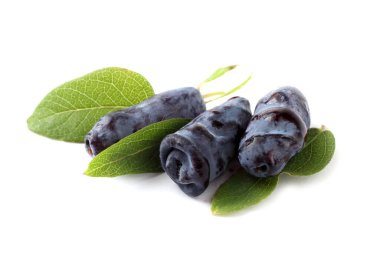 Böğürtlen beyazda izole
