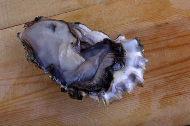 Masanın üzerinde açık istiridye