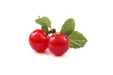 Uzak doğu kiraz ve yaprakları