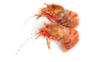 Karidesler beyaz üzerine izole edilmiş (kuzey Bering karidesi)
