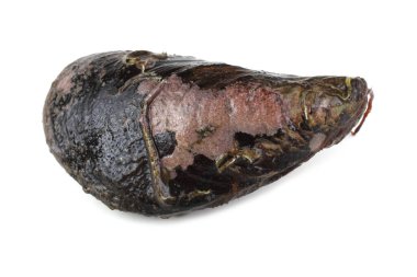 Midye beyazda izole.