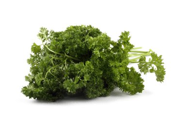 Beyaz arka planda izole edilmiş taze kokulu maydanoz.