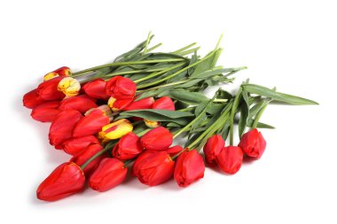 İnanılmaz çiçeklere yakın.