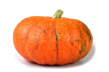 Beyaz bir arkaplanda kabak izole