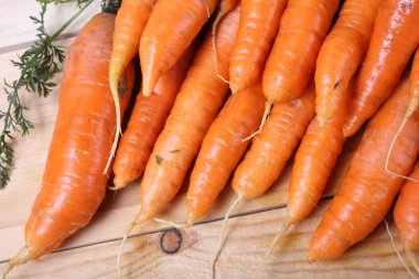 Olgun taze havuçlara yakın dur.