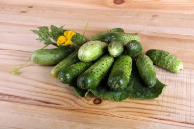 Salatalıklar masaya. Ülke biçimi