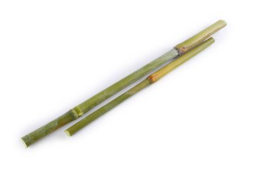 Şeker kamışı beyaz üzerine izole